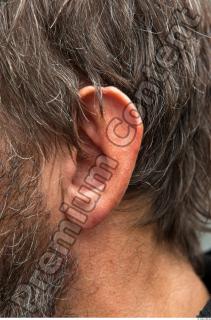 Ear texture of Gregor 0011